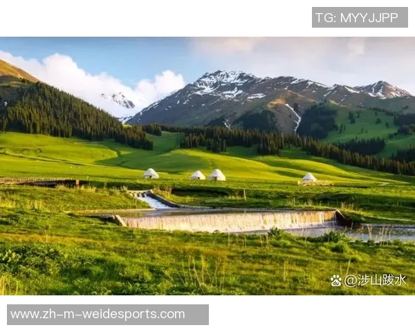 内蒙古与新疆的文化交融与发展探讨两地特色与未来机遇